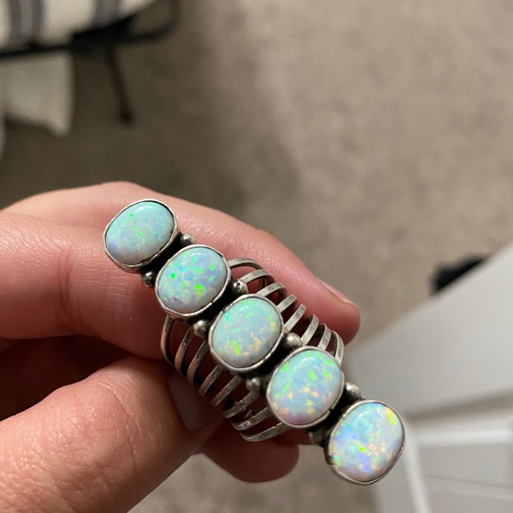 Western Ring - image 2